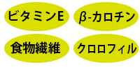 ビタミンEβカロチン食物繊維