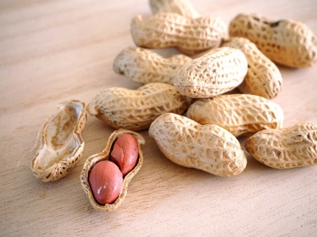 千葉県は落花生の生産量日本一