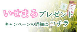 初回購入者限定プレゼント